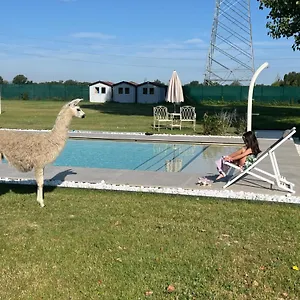  Bed & Breakfast Iris Italy